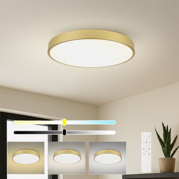 Brilagi - Dimmbare LED-Deckenleuchte POOL SMART LED/100W/230V 3000-6000K 80 cm goldfarben Wi-Fi Tuya + Fernbedienung