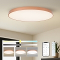 BRILAGI - Dimmbare LED-Deckenleuchte POOL SMART LED/180W/230V 3000-6000K 120 cm bronzefarben Wi-Fi Tuya + Fernbedienung