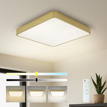 Brilagi - dimmbare LED-Deckenleuchte POOL SQUARE LED/36W/230V 3000-6000K 40x40 cm goldfarben + mit Fernbedienung