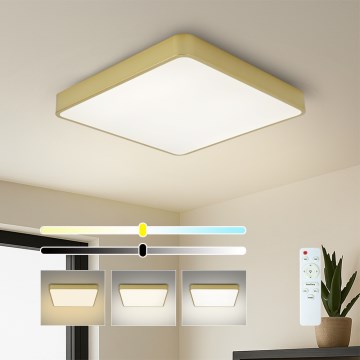 Brilagi - Dimmbare LED-Deckenleuchte POOL SQUARE LED/48W/230V 3000-6000K 50x50 cm goldfarben + Fernbedienung