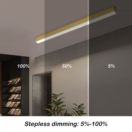 Brilagi - LED-dimmbare Deckenleuchte SLEEKLINE SMART LED/40W/230V 3000-6000K Wi-Fi Tuya goldfarben + Fernbedienung
