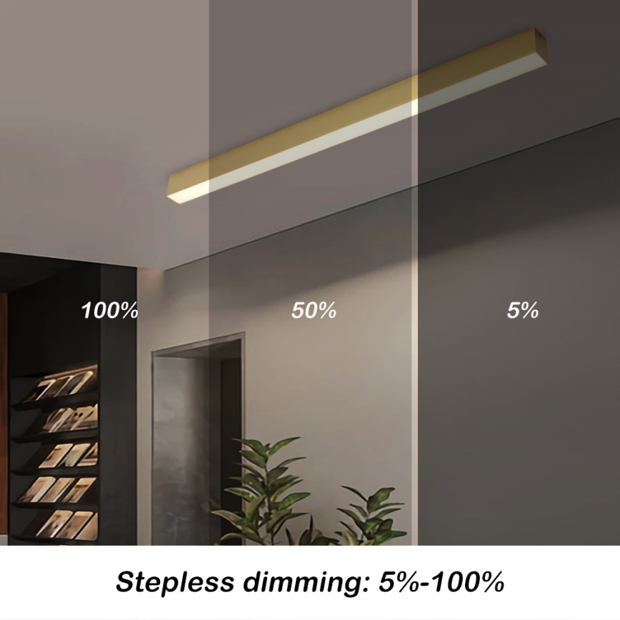 Brilagi - LED-dimmbare Deckenleuchte SLEEKLINE SMART LED/40W/230V 3000-6000K Wi-Fi Tuya goldfarben + Fernbedienung
