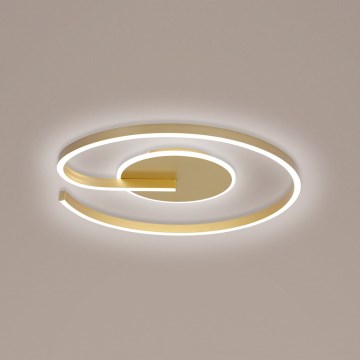 Brilagi - Dimmbare LED-Deckenleuchte SPIRAL LED/56W/230V 3000/4000/6000K+ Fernbedienung