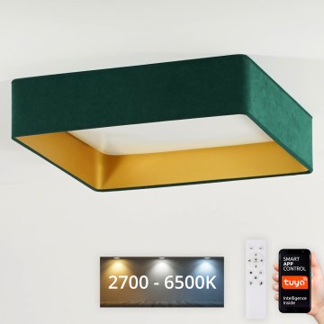 Brilagi - Dimmbare LED-Deckenleuchte VELVET SQUARE SMART LED/36W/230V 60x60 cm 2700-6500K Wi-Fi Tuya + Fernbedienung grün