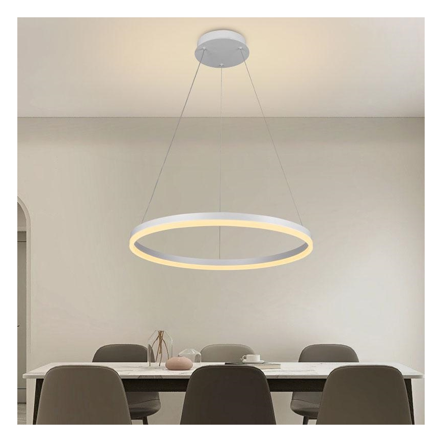 Brilagi - Dimmbare Pendelleuchte mit Seilabhängung CIRCLE LED/42W/230V 3000-6500K Ø 60 cm + Fernbedienung