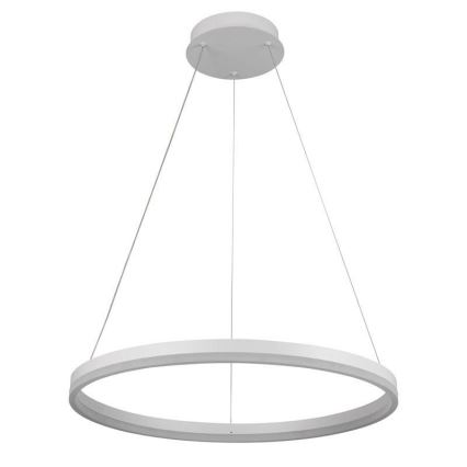 Brilagi - Dimmbare Pendelleuchte mit Seilabhängung CIRCLE LED/42W/230V 3000-6500K Ø 60 cm + Fernbedienung