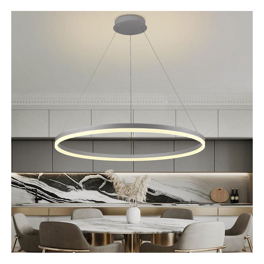 Brilagi - Dimmbare LED-Hängeleuchte CIRCLE LED/55W/230V 3000-6500K silbern + Fernbedienung