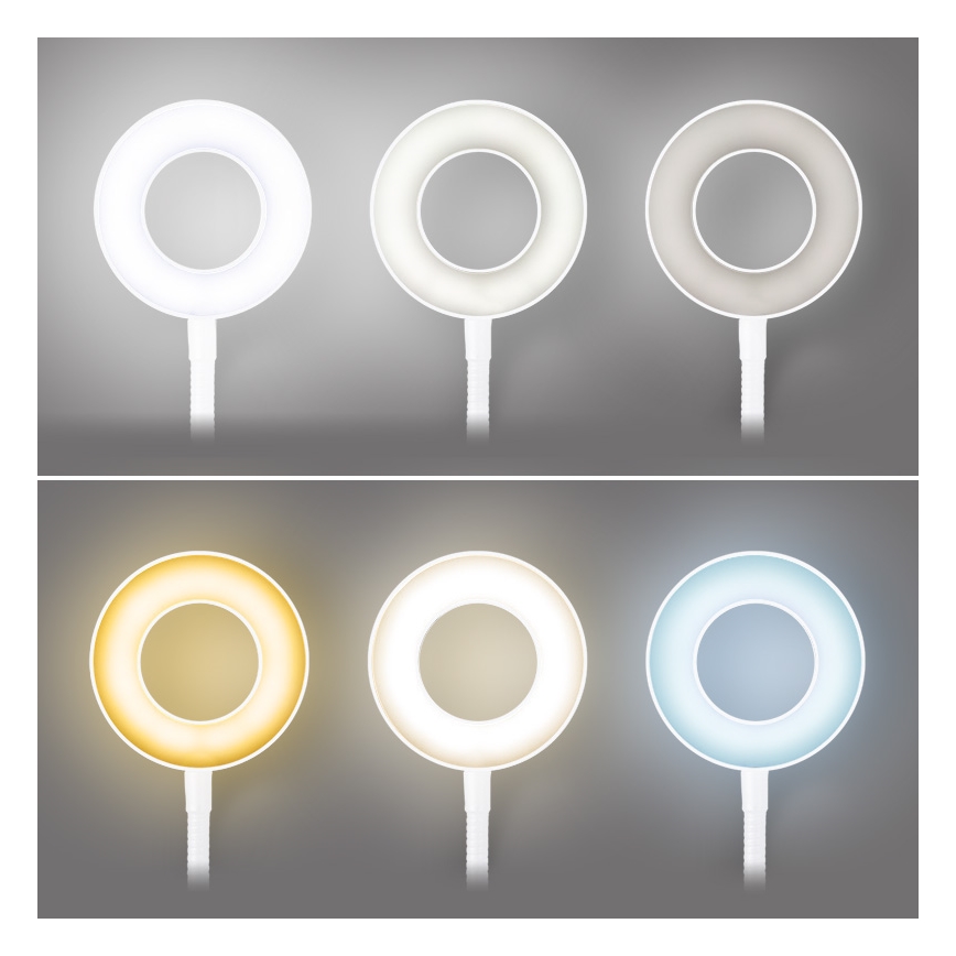 Brilagi - dimmbare LED-Lampe mit Clip ORBELA LED/8W/5V 3000/4000/5000K weiß