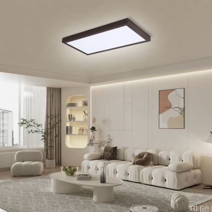 Brilagi - LED-dimmbare Badezimmer-Deckenleuchte FRAME SMART LED/30W/230V 30x60 cm 3000-6000K IP44 schwarz + Fernbedienung