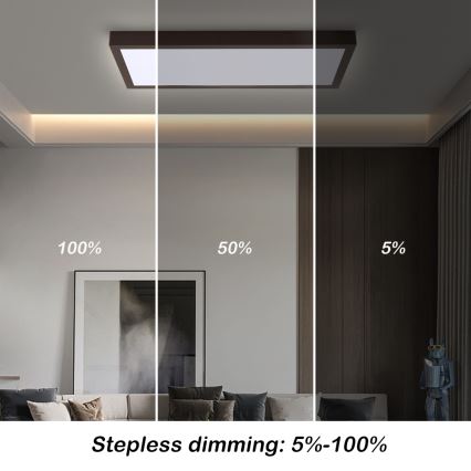 Brilagi - LED-dimmbare Badezimmer-Deckenleuchte FRAME SMART LED/30W/230V 30x60 cm 3000-6000K IP44 schwarz + Fernbedienung