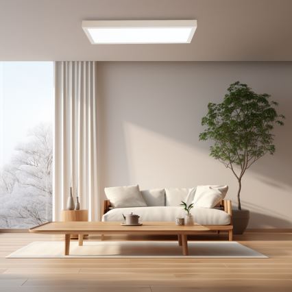 Brilagi - LED-dimmbare Badezimmer-Deckenleuchte FRAME SMART LED/30W/230V 30x60 cm 3000-6000K IP44 weiß + Fernbedienung
