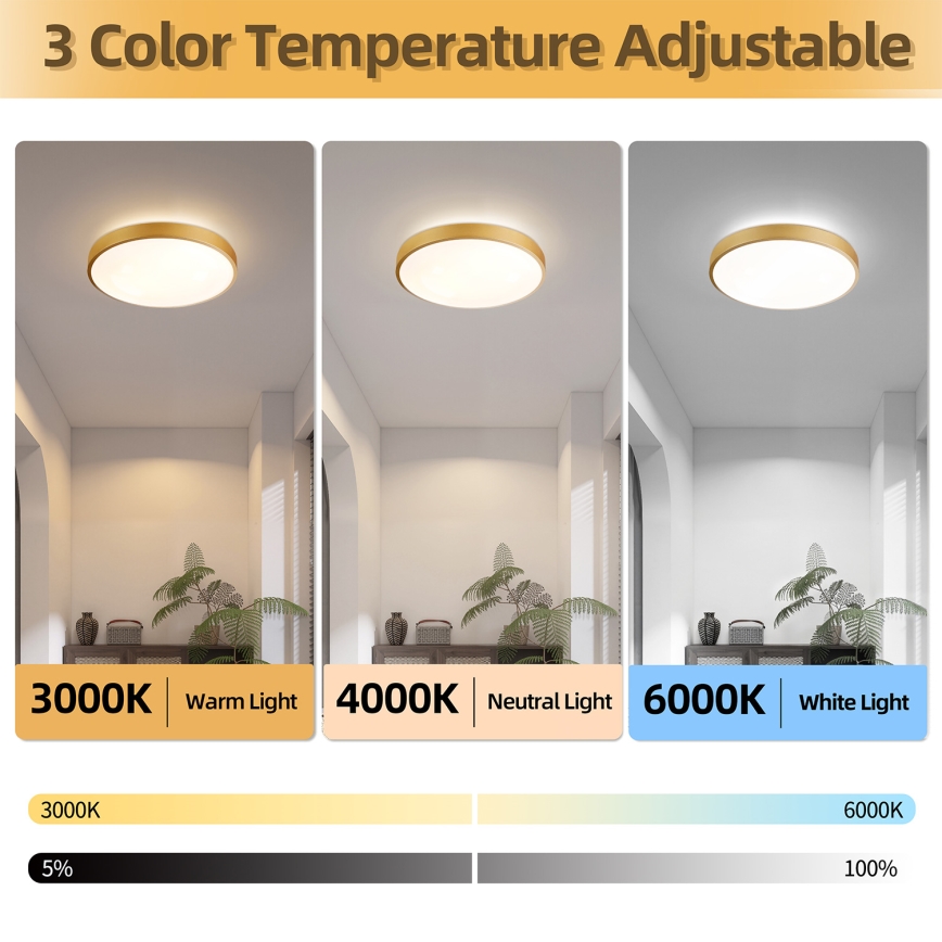Brilagi - LED-dimmbare Deckenleuchte GLASS POOL DOUBLE LED/48W/230V 3000-6000K 40 cm goldfarben + Fernbedienung