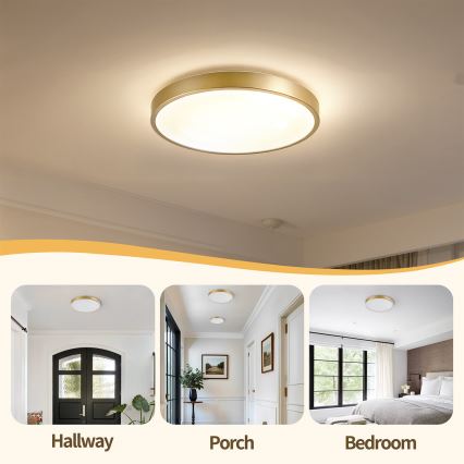 Brilagi - LED-dimmbare Deckenleuchte GLASS POOL DOUBLE LED/48W/230V 3000-6000K 40 cm goldfarben + Fernbedienung