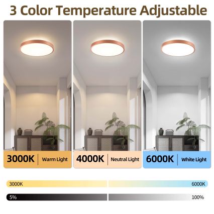BRILAGI - LED dimmbare Deckenleuchte GLASS POOL DOUBLE LED/48W/230V Ø 40 cm kupferfarben + Fernbedienung