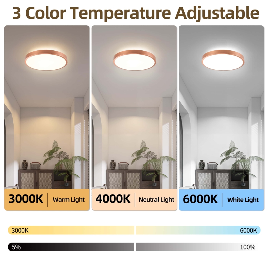 BRILAGI - LED dimmbare Deckenleuchte GLASS POOL DOUBLE LED/48W/230V Ø 40 cm kupferfarben + Fernbedienung