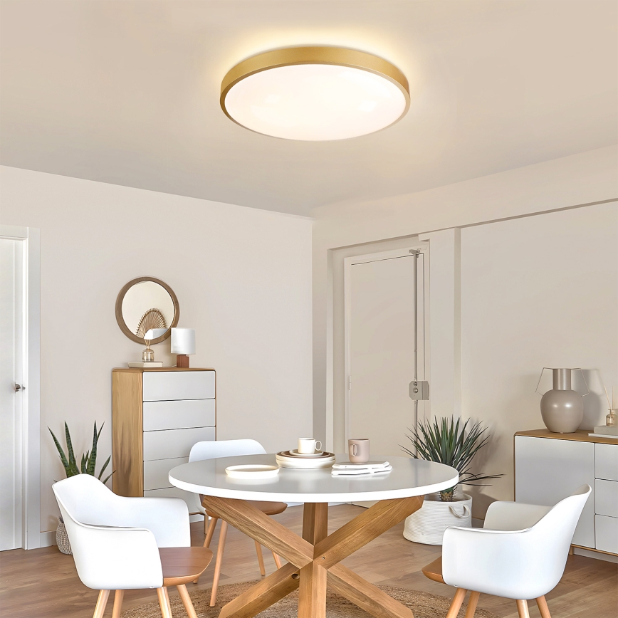 Brilagi - LED-dimmbare Deckenleuchte GLASS POOL DOUBLE LED/60W/230V 3000-6000K 50 cm gold + Fernbedienung