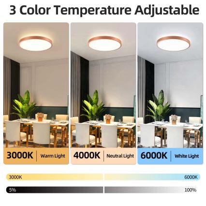 BRILAGI - LED-dimmbare Deckenleuchte GLASS POOL DOUBLE LED/60W/230V Ø 50 cm kupferfarben + Fernbedienung