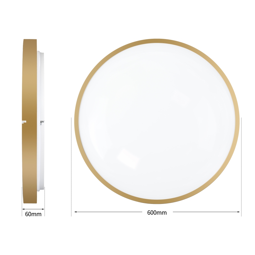 Brilagi - dimmbare LED-Deckenleuchte GLASS POOL DOUBLE LED/80W/230V 3000-6000K 60 cm goldfarben + Fernbedienung