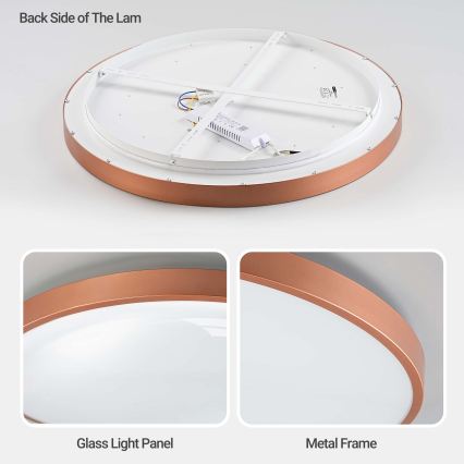 BRILAGI - LED-dimmbare Deckenleuchte GLASS POOL DOUBLE LED/80W/230V Ø 60 cm kupferfarben + Fernbedienung