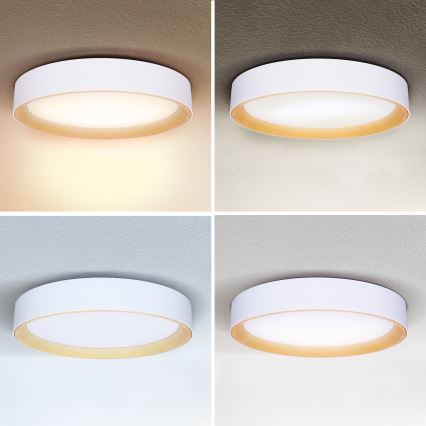 Brilagi - Dimmbare LED-Deckenleuchte LARIOS LED/60W/230V 3000-6500K ø 49 cm weiß + Fernbedienung