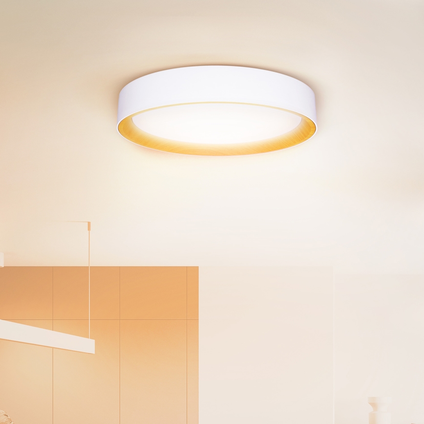 Brilagi - Dimmbare LED-Deckenleuchte LARIOS LED/60W/230V 3000-6500K ø 49 cm weiß + Fernbedienung