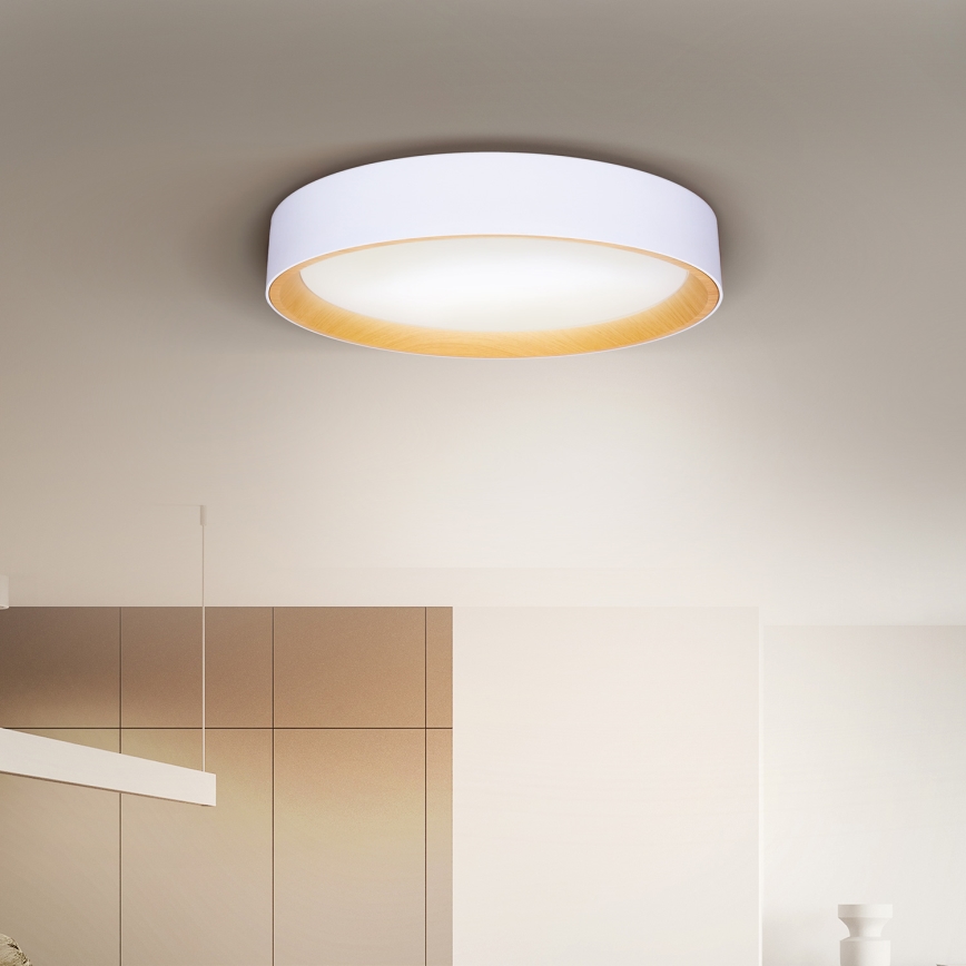 Brilagi - Dimmbare LED-Deckenleuchte LARIOS LED/60W/230V 3000-6500K ø 49 cm weiß + Fernbedienung