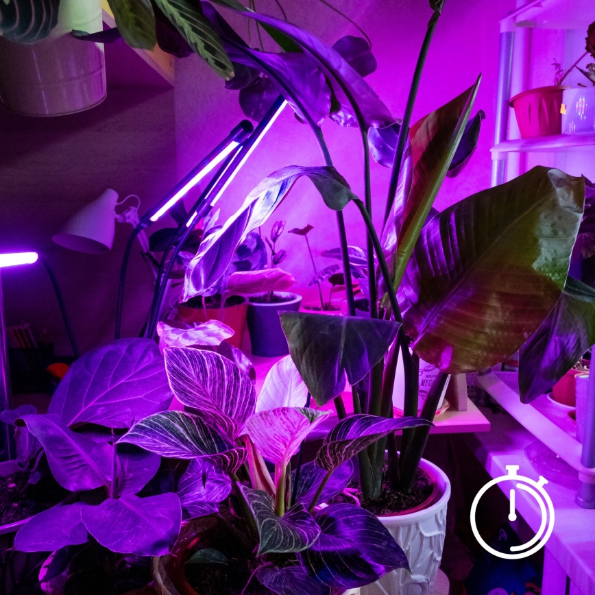 Brilagi - Dimmbare, flexible LED-Tischleuchte mit Klemme für die Pflanzenzucht VITABLOOM 3xLED/10W/230V schwarz