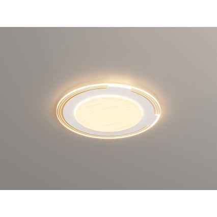 Brilagi - LED-dimmbare Deckenleuchte ORELIS LED/80 W/230 V 3000–6000 K Ø 50 cm inkl. Fernbedienung