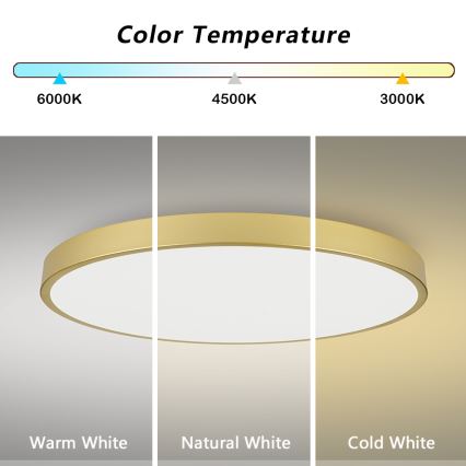 Brilagi - LED-dimmbare Deckenleuchte POOL SMART LED/180W/230V 3000-6000K 120 cm goldfarben Wi-Fi Tuya + Fernbedienung