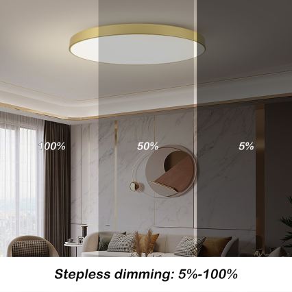 Brilagi - LED-dimmbare Deckenleuchte POOL SMART LED/180W/230V 3000-6000K 120 cm goldfarben Wi-Fi Tuya + Fernbedienung