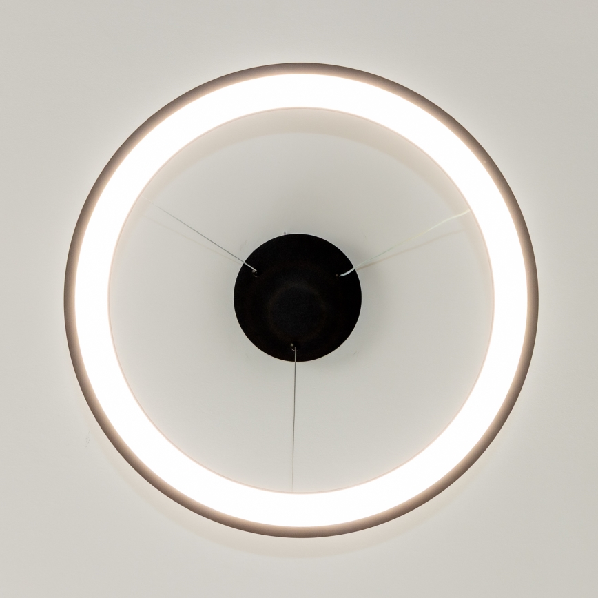 Brilagi - LED-dimmbar Pendelleuchte mit Seilabhängung FALCON SLIM LED/42W/230V 3000-6500K pr. 50 cm schwarz + Fernbedienung