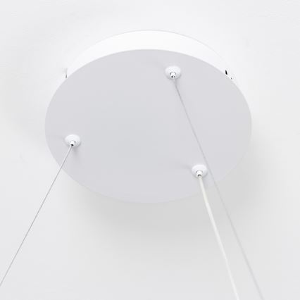 Brilagi - LED-dimmbare Pendelleuchte mit Kabelabhängung FALCON SLIM LED/42W/230V 3000-6500K pr. 50 cm weiß + Fernbedienung