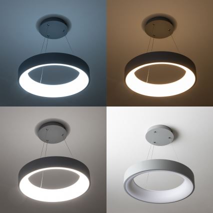 Brilagi - LED dimmbare Pendelleuchte mit Seilaufhängung FALCON LED/40W/230V 3000–6500K Ø 45 cm grau + Fernbedienung