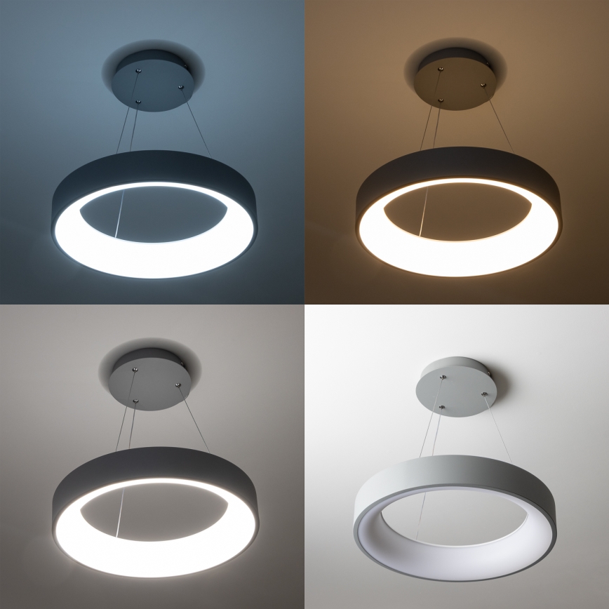 Brilagi - LED dimmbare Pendelleuchte mit Seilaufhängung FALCON LED/40W/230V 3000–6500K Ø 45 cm grau + Fernbedienung