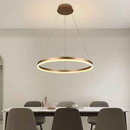 Brilagi - Dimmbare LED-Hängeleuchte mit Seilaufhängung CIRCLE LED/42W/230V 3000-6500K Ø 60 cm + Fernbedienung