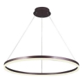 Brilagi - dimmbare LED-Pendelleuchte an Stahlseil CIRCLE LED/55W/230V 3000–6500K Ø 80 cm braun + Fernbedienung
