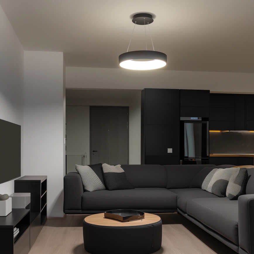 Brilagi - LED-dimmbare Hängeleuchte FALCON mit Seilaufhängung LED/40W/230V 3000-6500K Ø 45 cm schwarz + Fernbedienung