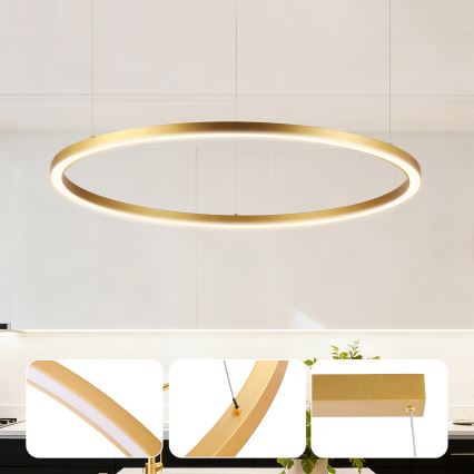 Brilagi - Dimmbare LED-Pendelleuchte an Kabel PORTOFINO LED/60W/230V 3000-6000K Ø 80 cm goldfarben + Fernbedienung