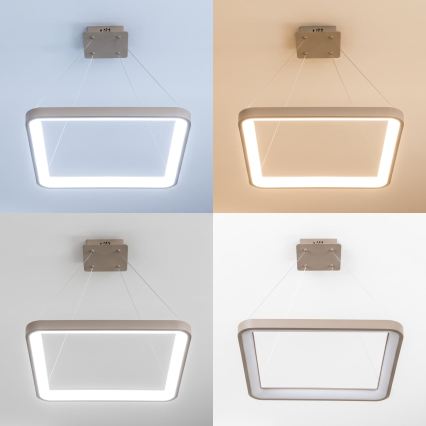 BRILAGI - LED-dimmbare Pendelleuchte mit Seilaufhängung FALCON SLIM LED/50W/230V 3000-6500K 50x50 cm beige + Fernbedienung