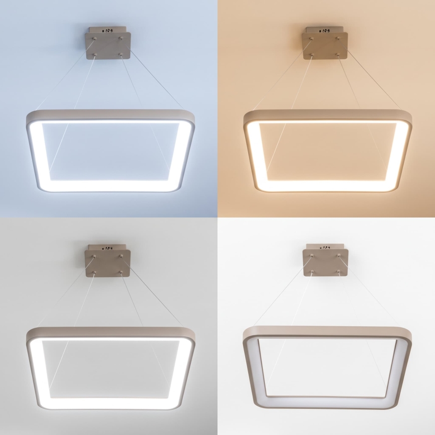 BRILAGI - LED-dimmbare Pendelleuchte mit Seilaufhängung FALCON SLIM LED/50W/230V 3000-6500K 50x50 cm beige + Fernbedienung