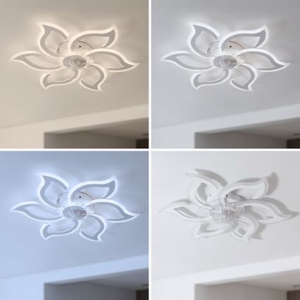Brilagi - LED-dimmbarer Deckenventilator LED/34W/230V 3000-6500K Ø 83 cm weiß + Fernbedienung