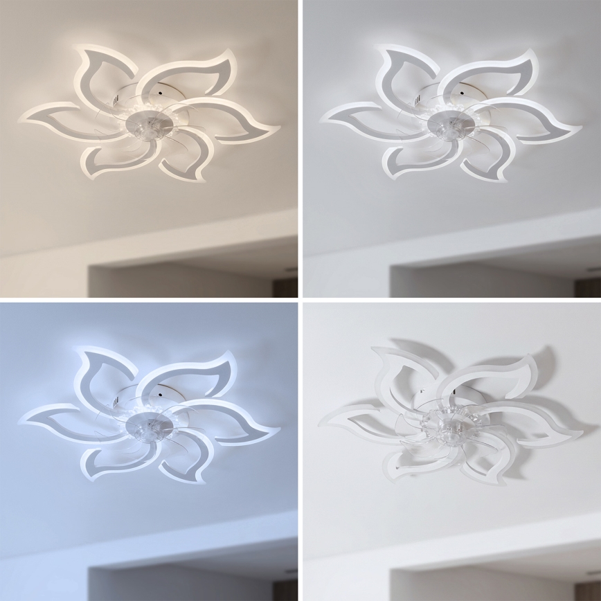 Brilagi - LED-dimmbarer Deckenventilator LED/34W/230V 3000-6500K Ø 83 cm weiß + Fernbedienung