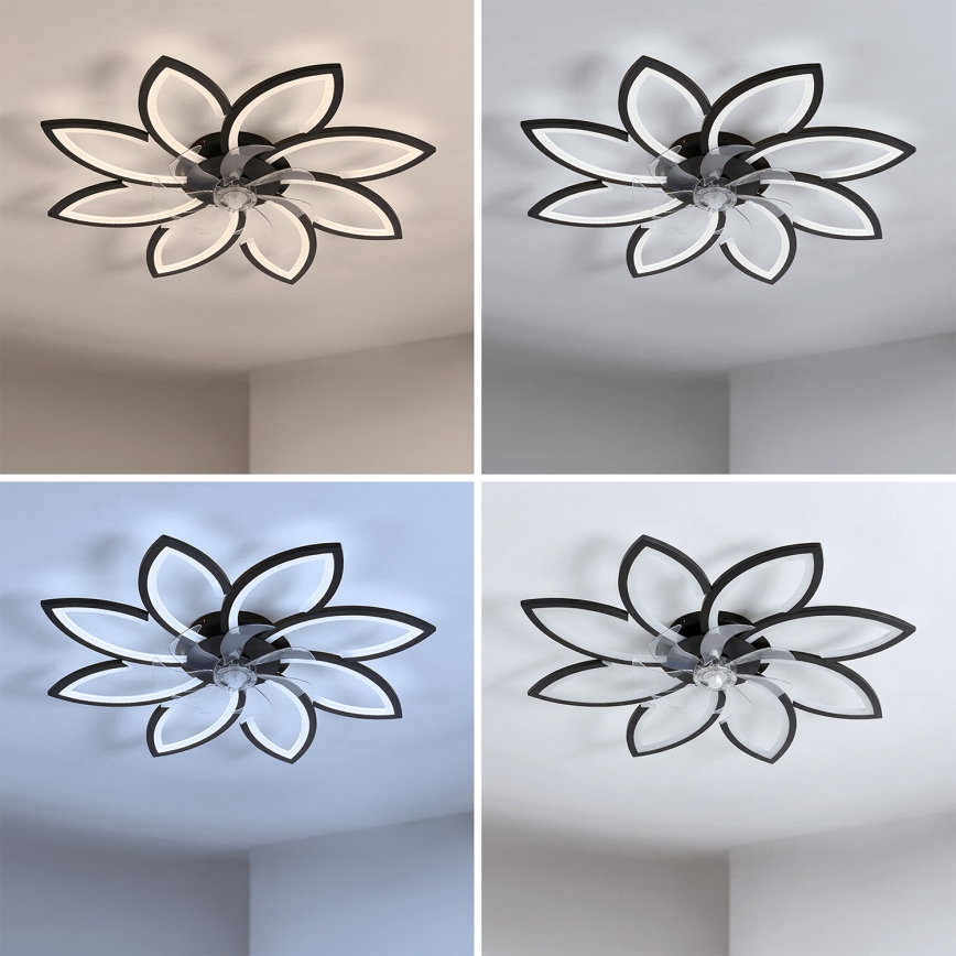 Brilagi - LED-dimmbarer Deckenventilator LED/43W/230V Ø 90 cm schwarz + Fernbedienung