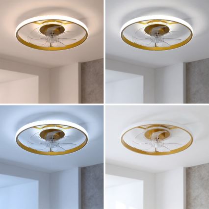 Brilagi - LED-dimmbarer Deckenventilator LED/66W/230V 3000-6500K Ø 55 cm weiß/gold + Fernbedienung