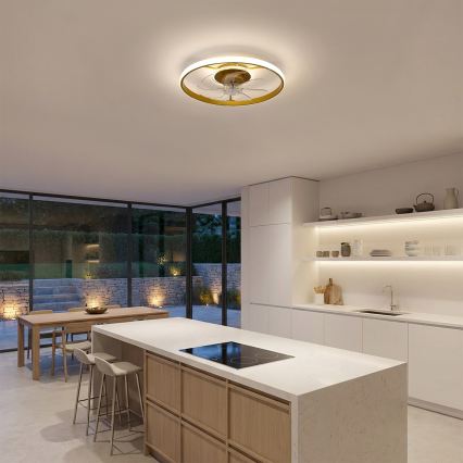 Brilagi - LED-dimmbarer Deckenventilator LED/66W/230V 3000-6500K Ø 55 cm weiß/gold + Fernbedienung