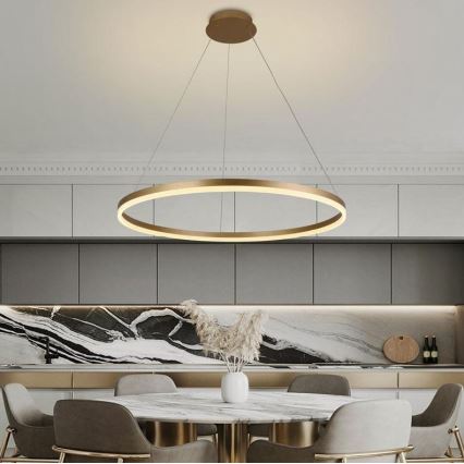 Brilagi - Dimmbarer LED-Kronleuchter CIRCLE LED/55W/230V 3000-6500K golden + Fernbedienung