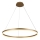 Brilagi - Dimmbarer LED-Kronleuchter CIRCLE LED/55W/230V 3000-6500K golden + Fernbedienung