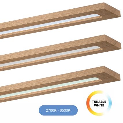 Brilagi - Dimmbares LED-RGBW-Panel WOODY FRAME LED/34W/230V 11,5x123 cm 2700-6500K Eiche + Fernbedienung