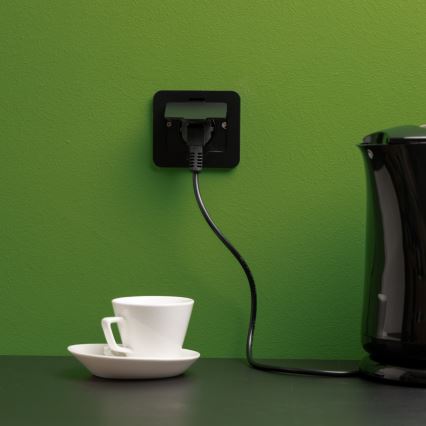 Brilagi - Einbau-Bodensteckdose für den Außenbereich IP55, schwarz, rechteckig