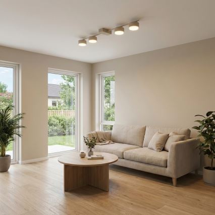Brilagi - Einbaustrahler MONO 4xGX53/12W/230V beige